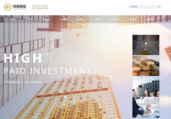 重慶世耀辰信信息技術(shù)有限公司