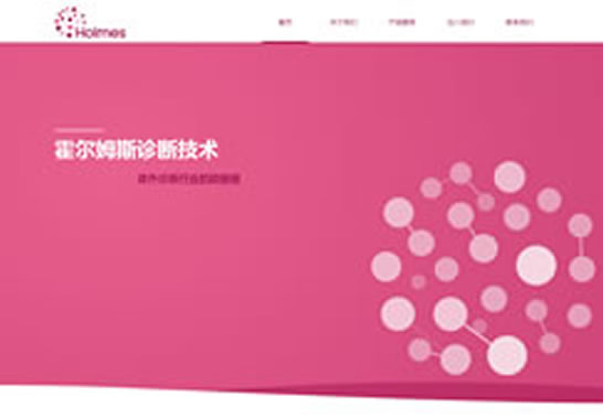 霍爾姆斯（北京）診斷技術有限公司
