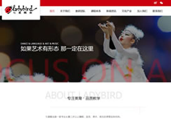 重慶七星瓢蟲藝術(shù)培訓(xùn)有限責(zé)任公司