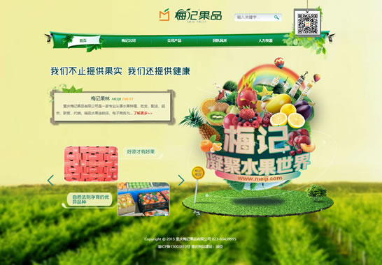 重慶梅記果品有限公司