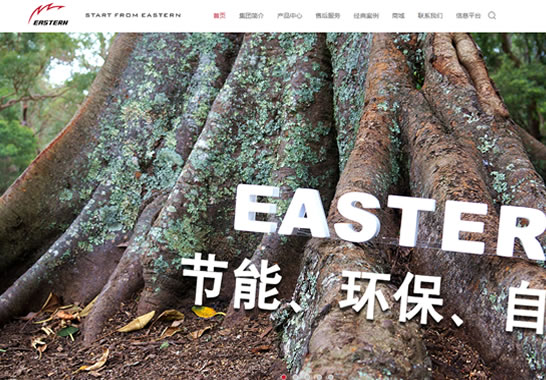 伊士頓電梯（中國(guó)）集團(tuán)