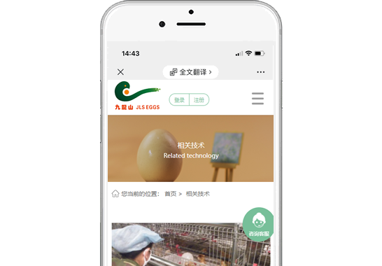 天水九龍山禽業(yè)養(yǎng)殖有限公司【手機(jī)版】