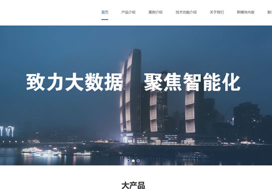 重慶市賽瑞馳市場信息咨詢有限公司