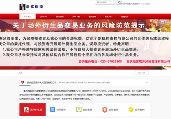 重慶鼎富瑞澤風(fēng)險(xiǎn)管理有限公司
